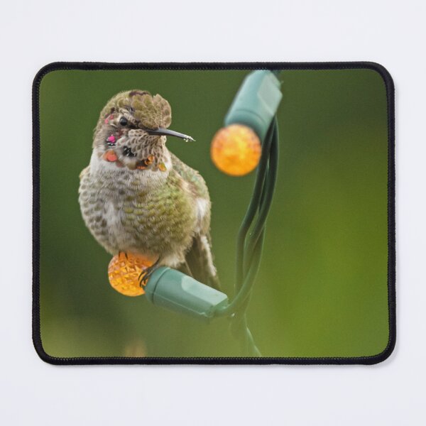 Item preview, Hummingbird Light designed and sold by DWMMPhotography.