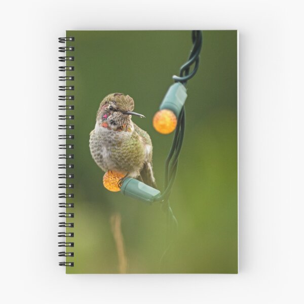 Item preview, Hummingbird Light designed and sold by DWMMPhotography.