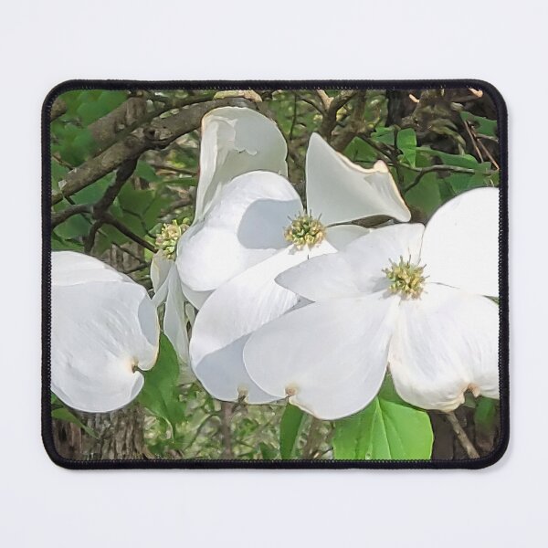 Item preview, Dogwood Blossoms designed and sold by bertsworks300.