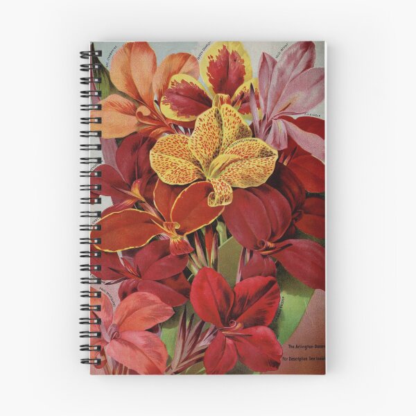 Item preview, Canna Flower designed and sold by Noura Sultani.