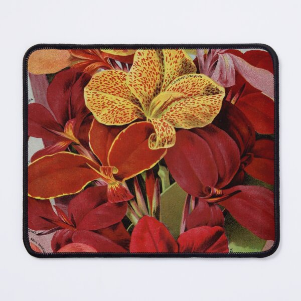 Item preview, Canna Flower designed and sold by Noura Sultani.