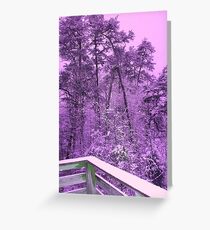 Woof's Sky: Life of a Tree Greeting Card