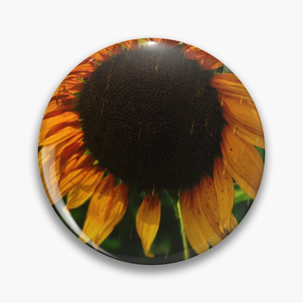 Item preview, Sunflower Shines! designed and sold by QualityQueen.