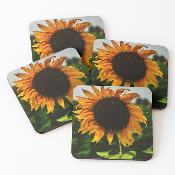 Item preview, Sunflower Shines! designed and sold by QualityQueen.