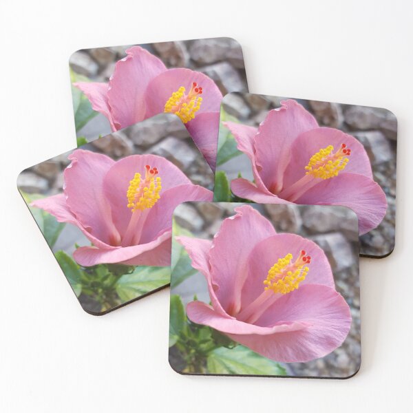 Item preview, Pink Hibiscus with Yellow Anthers designed and sold by Creative Endeavors ..