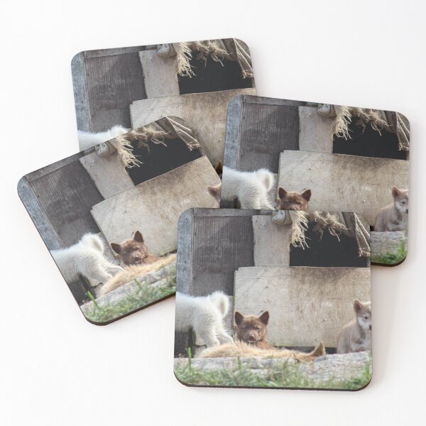 Item preview, Greenlandic Husky Pups designed and sold by Micki Selvitella.