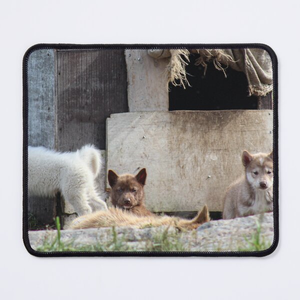 Item preview, Greenlandic Husky Pups designed and sold by Micki Selvitella.