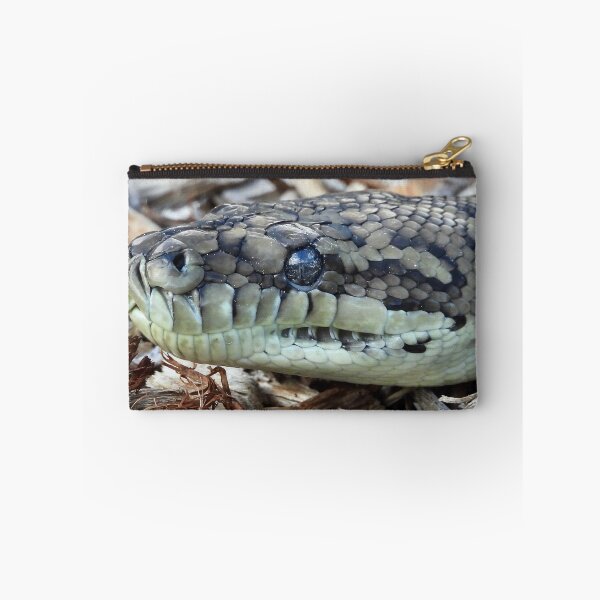 Item preview, Coastal carpet python snake close up designed and sold by Mark Grimsley.