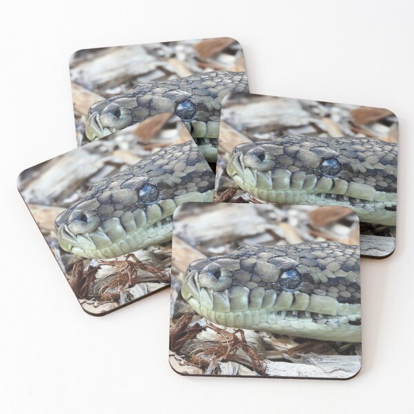 Item preview,  Coastal carpet python snake close up designed and sold by Mark Grimsley.