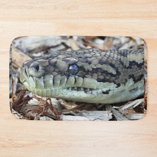 Item preview,  Coastal carpet python snake close up designed and sold by Mark Grimsley.