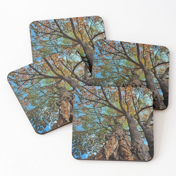 Item preview, Beautiful Old Tree In The Fall designed and sold by TwistedP-Photos.