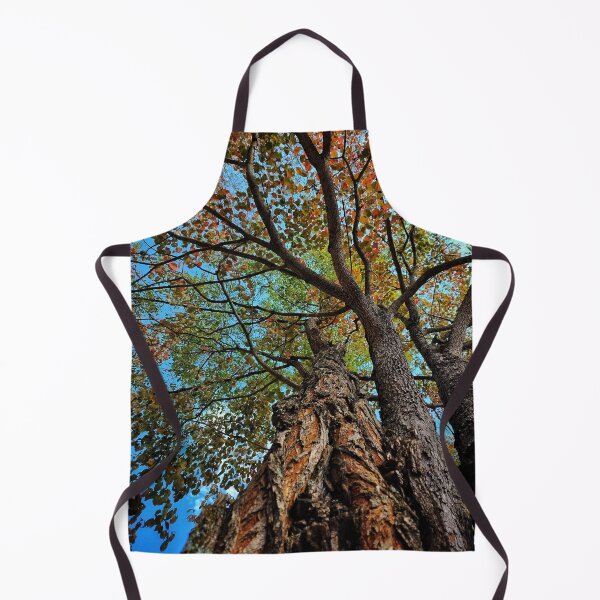 Item preview, Beautiful Old Tree In The Fall designed and sold by TwistedP-Photos.