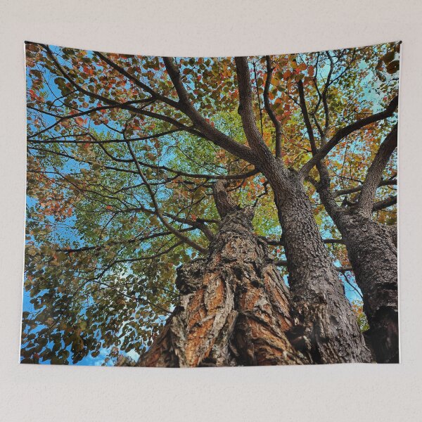 Item preview, Beautiful Old Tree In The Fall designed and sold by TwistedP-Photos.
