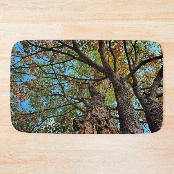 Item preview, Beautiful Old Tree In The Fall designed and sold by TwistedP-Photos.