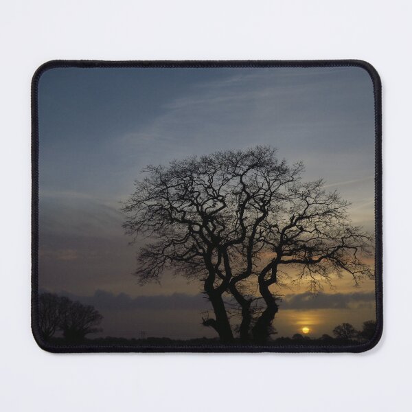 Item preview, The Tree At Sunrise designed and sold by wiggyofipswich.