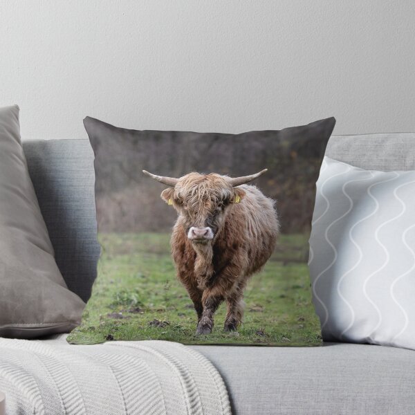 Item preview, Highlander escocés en una pradera designed and sold by Ronenvief.
