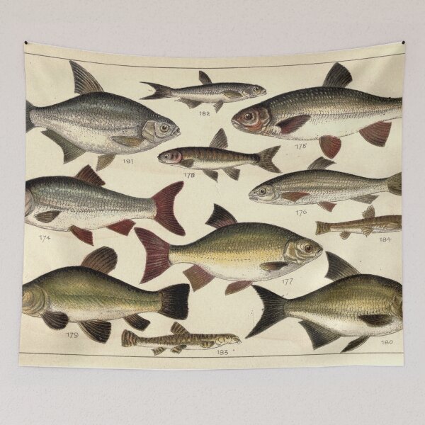 Item preview, Vintage Illustration of Various Fishes (1902) designed and sold by BravuraMedia.