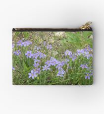 Blue-eyed Grass Studio Pouch