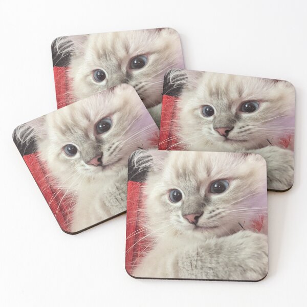 Item preview, Lynx ragdoll kitten face designed and sold by Fluffycat2020.