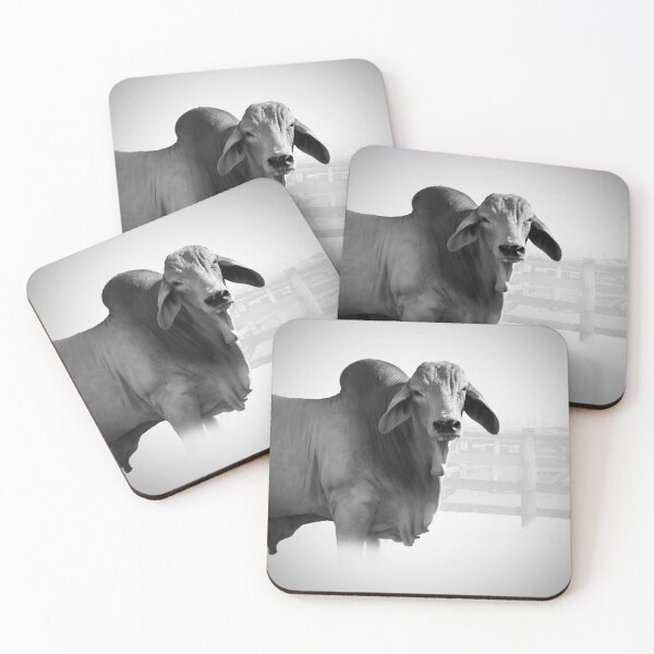 Item preview, CATTLE COUNTRY, FOR THOSE LOVERS OF THE BEAUTIFULL BRAHMAN CATTLE designed and sold by Barbara Jean Photo Art And Design.