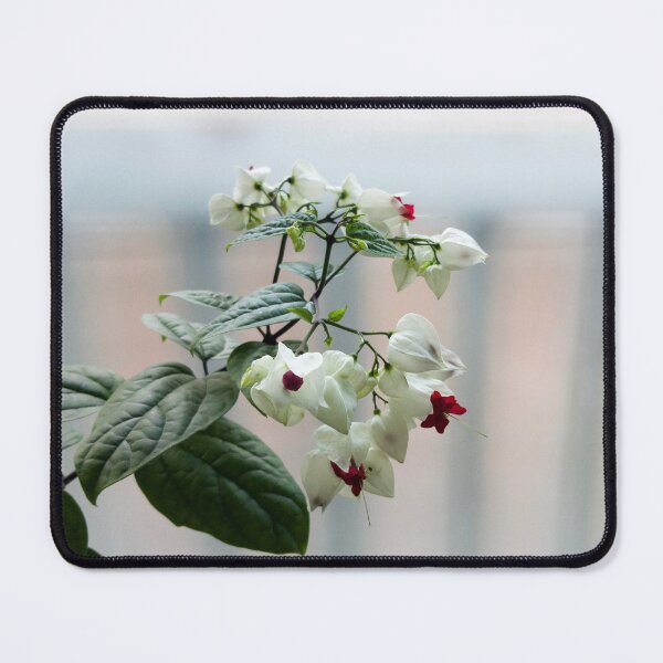 Item preview, Clerodendron flower designed and sold by yunee.