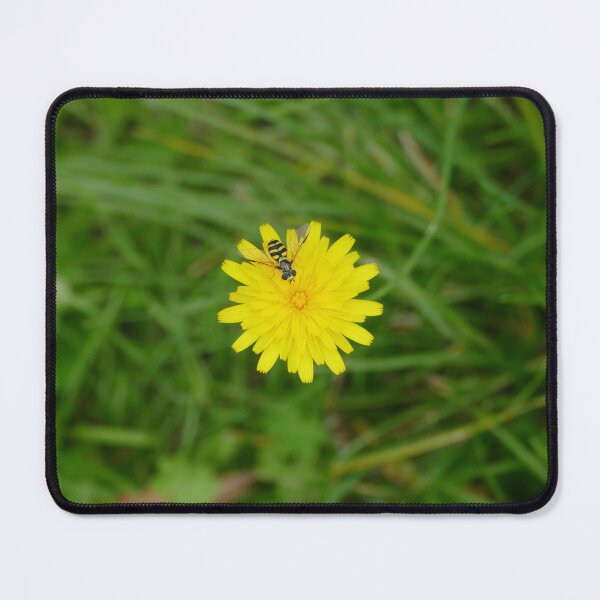 Item preview, Hoverfly on a catsear designed and sold by Evergreen365.