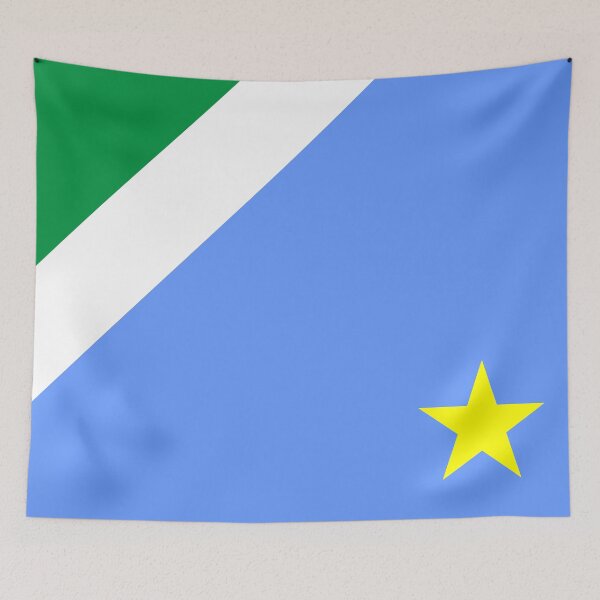Item preview, Flag of Mato Grosso do Sul state (Federative Republic of Brazil) designed and sold by Danler.
