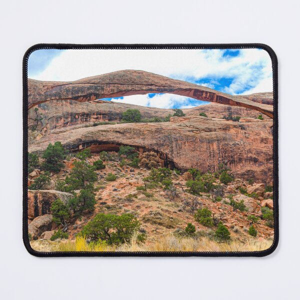 Item preview, Oh so Delicate, Landscape Arch, Arches National Park, Utah designed and sold by Brian Shaw.