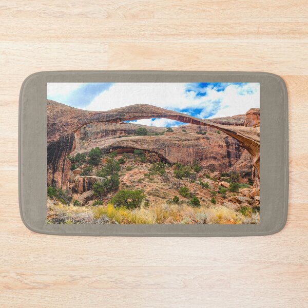 Item preview, Oh so Delicate, Landscape Arch, Arches National Park, Utah designed and sold by Brian Shaw.