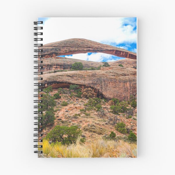 Item preview, Oh so Delicate, Landscape Arch, Arches National Park, Utah designed and sold by Brian Shaw.