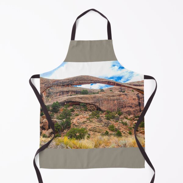 Item preview, Oh so Delicate, Landscape Arch, Arches National Park, Utah designed and sold by Brian Shaw.
