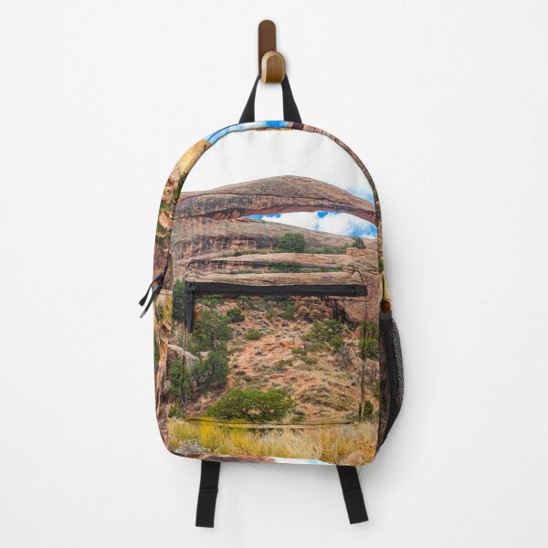 Item preview, Oh so Delicate, Landscape Arch, Arches National Park, Utah designed and sold by Brian Shaw.
