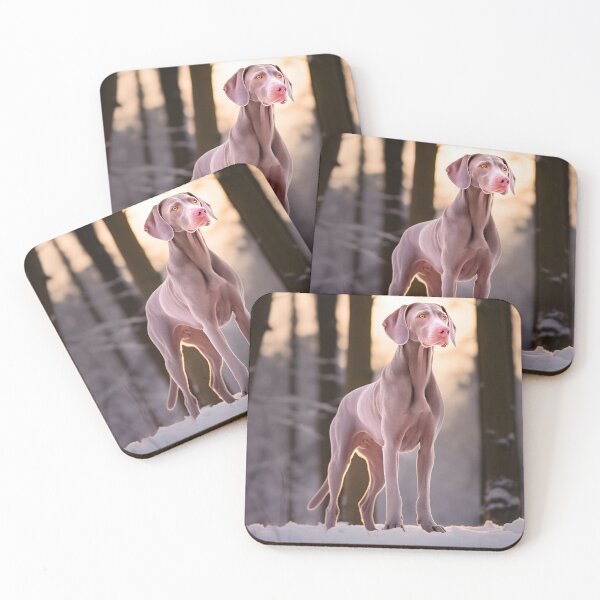 Item preview, Weimaraner dog breed in snow nature photography designed and sold by NBSStore.