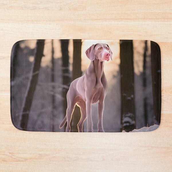 Item preview, Weimaraner dog breed in snow nature photography designed and sold by NBSStore.