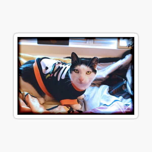 Chippy At Halloween Sticker