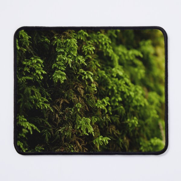 Item preview, Close-up of green succulent moss on a tree - photo designed and sold by CineWanderlust.