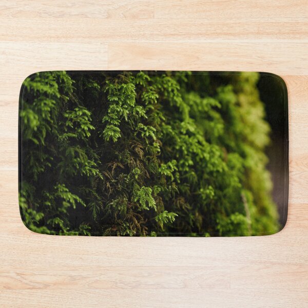 Item preview, Close-up of green succulent moss on a tree - photo designed and sold by CineWanderlust.