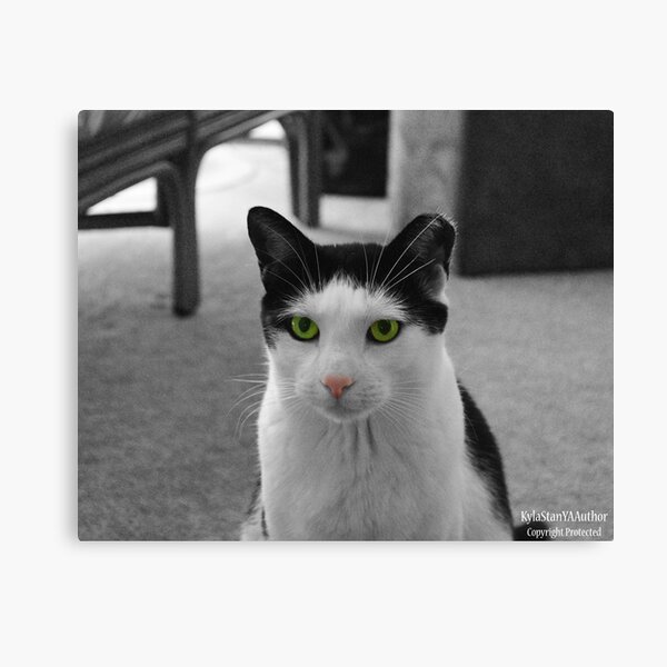 Chippy 4 Canvas Print
