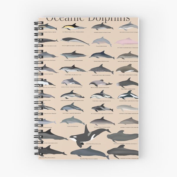 Item preview, Oceanic dolphins print, Illustration, Ocean animals, watercolor, dolphin lover gift, educational natural history print designed and sold by katoocreations.