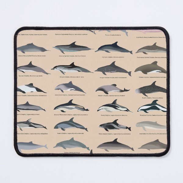 Item preview, Oceanic dolphins print, Illustration, Ocean animals, watercolor, dolphin lover gift, educational natural history print designed and sold by katoocreations.