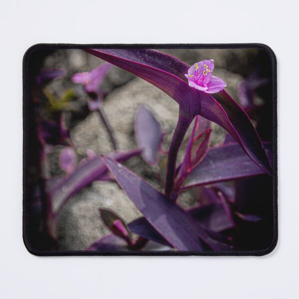 Item preview, Mitchell Park Domes Flower designed and sold by Nick Caldwell.