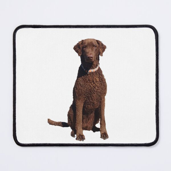 Item preview, Nala sits designed and sold by Monkonthehill.