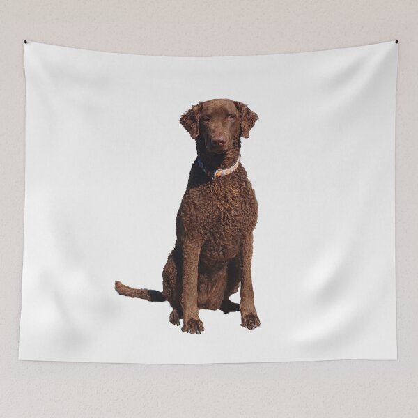Item preview, Nala sits designed and sold by Monkonthehill.