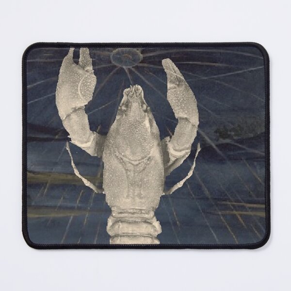 Item preview, Crayfish 1 designed and sold by BortaYarrow.