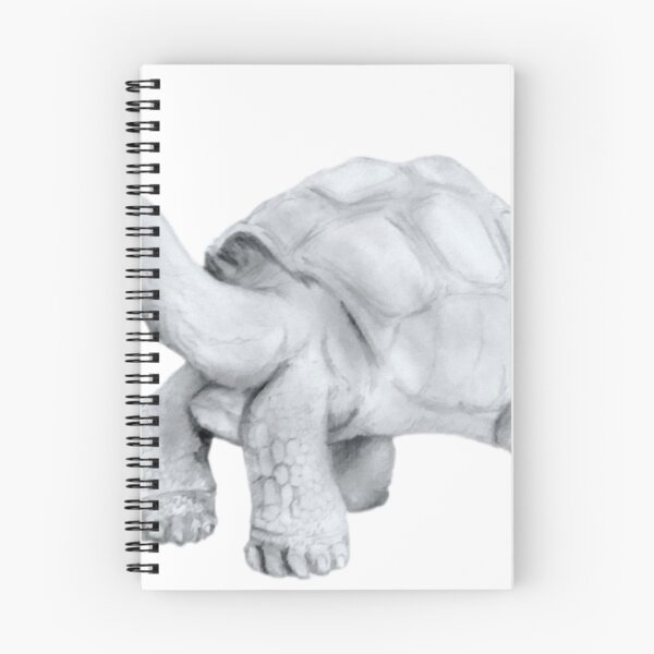 Item preview, Giant tortoise designed and sold by Diogo  De Lima Franco.