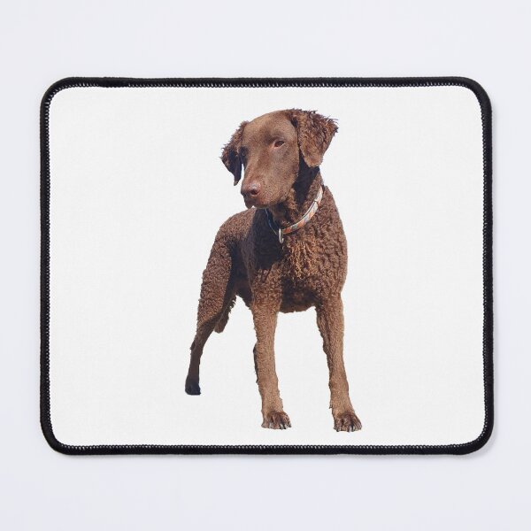 Item preview, Nala designed and sold by Monkonthehill.