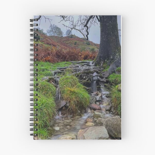 Item preview, Tree Root Waterfall designed and sold by Graz-Photos.