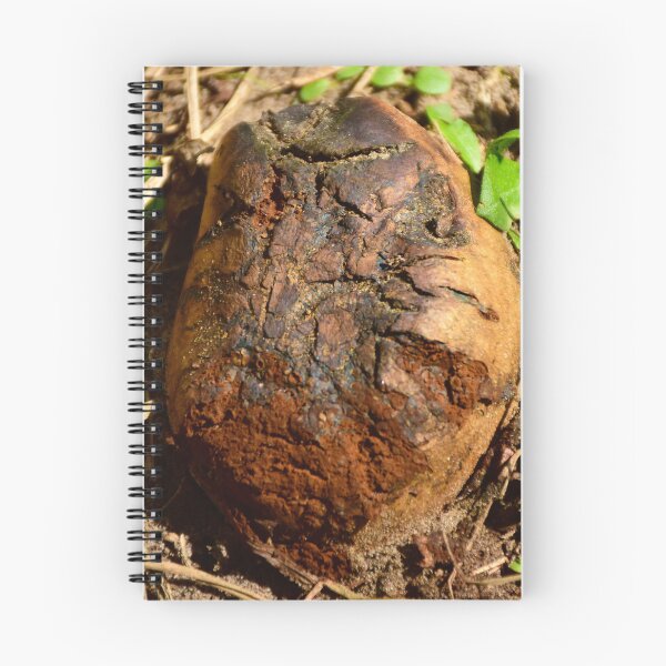 Item preview, Big Puffball Mushroom designed and sold by MercerImages.