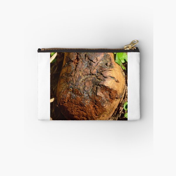 Item preview, Big Puffball Mushroom designed and sold by MercerImages.