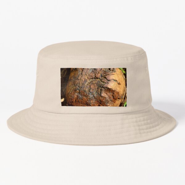 Item preview, Big Puffball Mushroom designed and sold by MercerImages.